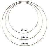 Dromenvangers - Ringen