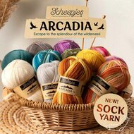 Arcadia sokkenwol van Scheepjes