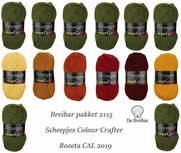 Breibar Pakket 2115 Scheepjes Colour Crafter voor Rozeta CAL 2019 - 