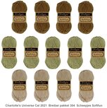 Charlotte&rsquo;s Universe CAL 2021 Breibar pakket 304 van Scheepjes Softfun 