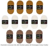Charlotte&rsquo;s Universe CAL 2021 Breibar pakket 401 Scheepjes Colour Crafter