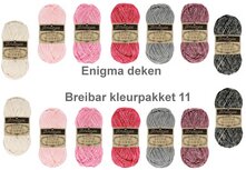 Enigma deken Breibar kleurenpakket 11 van Scheepjes Stone Washed  voor de Crochet Along van Esther Dijkstra