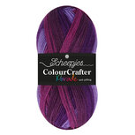 Scheepjes Colour Crafter Parade 407 Purple Blend