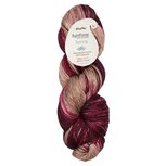 Symfonie Terra variegated 2007 Cafe Rose