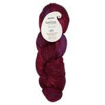 Symfonie Terra variegated 2009 Valentine