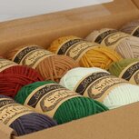 Softfun Autumn Walk colour pack 12x20g Scheepjes