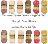 Nuts about Squares Cal 2017 kleur pakket 1001 