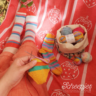 Scheepjes Summer Sock-A-Long Mal Carmen&#039;s kleurstelling 3