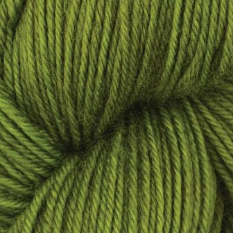 Symfonie Terra Solid 2021 Rain Forest