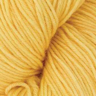 Symfonie Terra Solid 2022 Sunshine