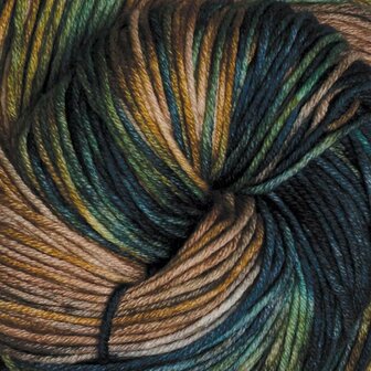 Symfonie Terra variegated 2001 Riverbank