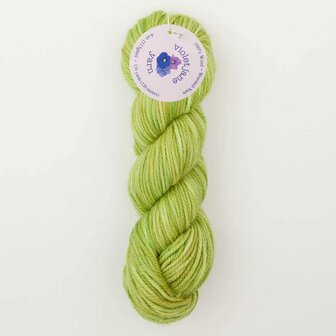 Oxford Violet Jane Worsted variegated 50040 Parakeet