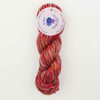 Oxford Violet Jane Worsted variegated 50119 Fiesta Day