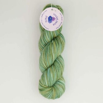 Oxford Violet Jane Worsted variegated 50132 Meadow Grass
