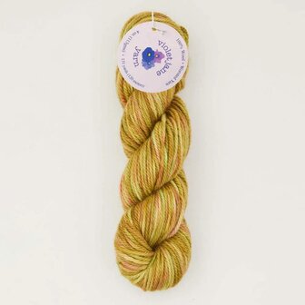 Oxford Violet Jane Worsted variegated 50144 Spring Fling