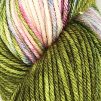 Symfonie Bella variegated 4005 Summer Romance