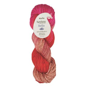 Symfonie Bella variegated 4016 Rhubarb