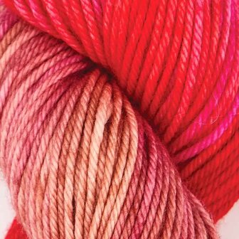 Symfonie Bella variegated 4016 Rhubarb