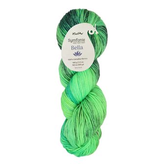 Symfonie Bella variegated 4023 Jungle Secrets