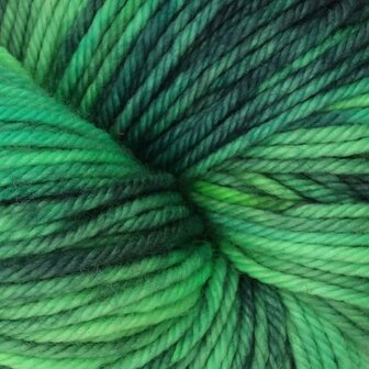 Symfonie Bella variegated 4023 Jungle Secrets