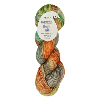 Symfonie Bella variegated 4026 Lagoon Dream
