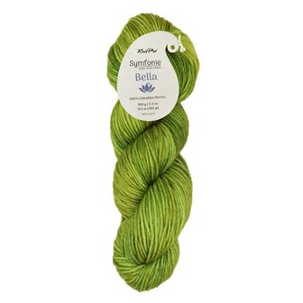 Symfonie Bella variegated 4027 Macha