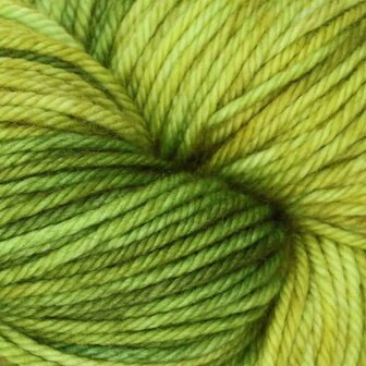 Symfonie Bella variegated 4027 Macha