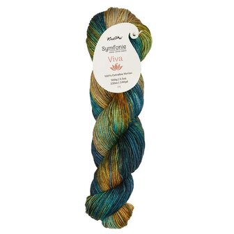 Symfonie Viva variegated 1001 Riverbank