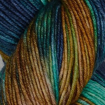 Symfonie Viva variegated 1001 Riverbank