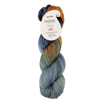 Symfonie Viva variegated 1011 Newyork Newyork