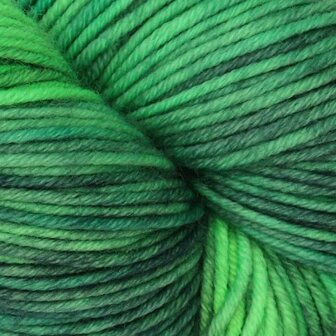 Symfonie Viva variegated 1028 Jungle Secrets