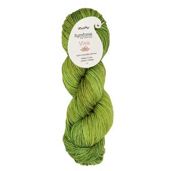 Symfonie Viva variegated 1032 Macha