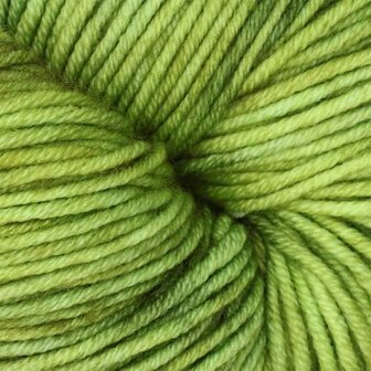 Symfonie Viva variegated 1032 Macha