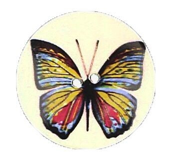 Knopen-parelmoer-vlinder ivoorkleur 3.5 cm