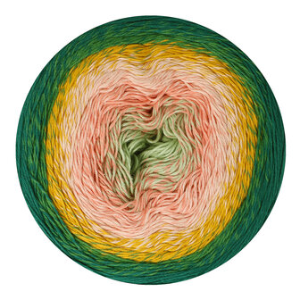 Scheepjes Cotton 732 Colour Me Crafty