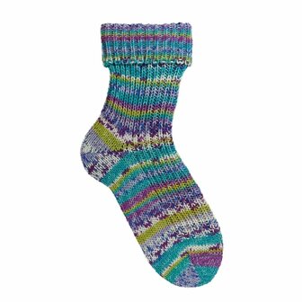 Opal Festival 6-draads - 11423