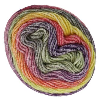  Scheepjes Stone Washed Flow 1x65g - 01 Delight