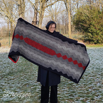 Beautiful Noise sjaal of  deken van Scheepjes Woolwise 