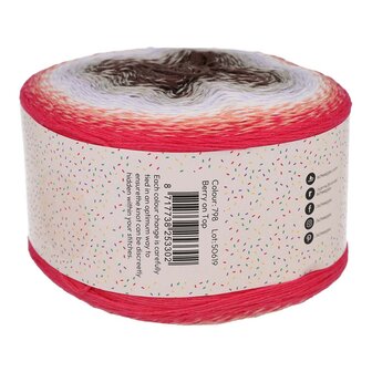 Scheepjes Whirl Birthday Cake 798 Berry on Top