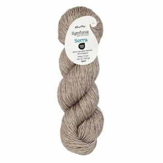Symfonie Serra Solid 1x100g - SS5011 Silver Ash