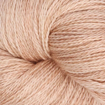 Symfonie Diva Solid 1x100g - SS6009 Champagne