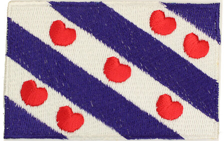 Friesland vlag applicatie 