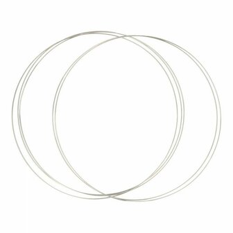 Dromenvanger ring 20 cm RVS