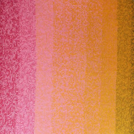 Whirl 793 Goji Sorbet Dream Scheepjes 