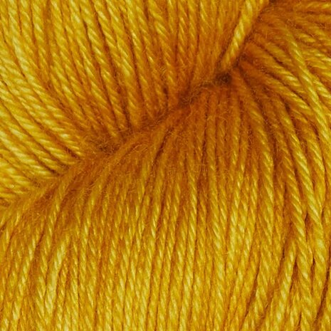 Symfonie Terra Solid 2006 Turmeric