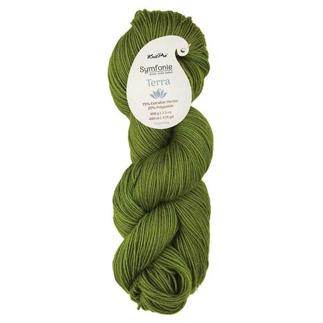 Symfonie Terra Solid 2021 Rain Forest