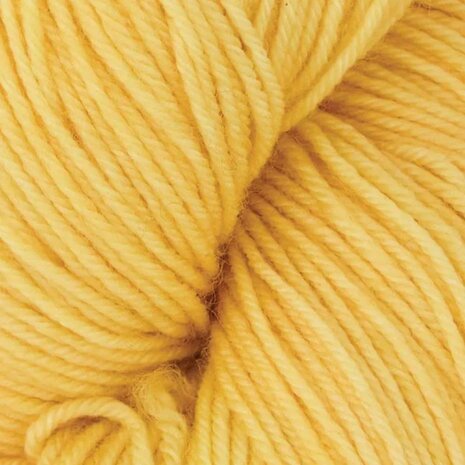 Symfonie Terra Solid 2022 Sunshine