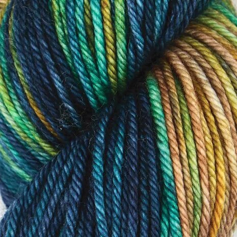 Symfonie Bella variegated 4001 Dragon Vine