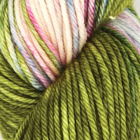 Symfonie Bella variegated 4005 Summer Romance