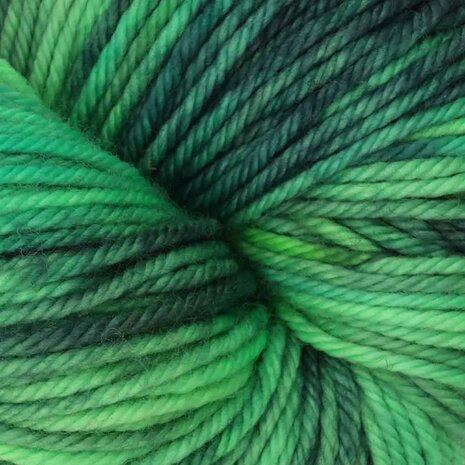 Symfonie Bella variegated 4023 Jungle Secrets